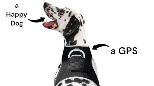 Get Realtime Location Update w/ Pet Tracker GPS Tracking Collars for Dogs Size:XXL