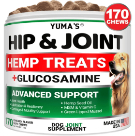 Hemp Hip and Joint Supplement for Dogs Glucosamine for Dogs Joint Pain Relief with MSM Advanced Dog Joint Supplement Health Glucosamine for Dogs (Option: 1PC)