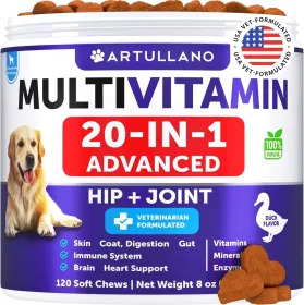 Dog Multivitamin Chewable with Glucosamine 20 in 1 Dog Vitamins and Supplements Senior & Puppy Multivitamin for Dogs Pet Joint Support Health Imm (Option: Artullano)